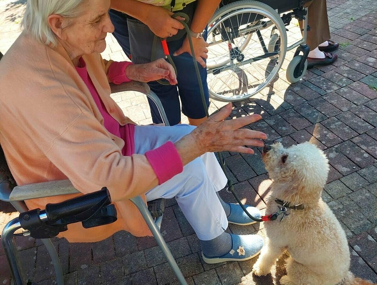 Hund zu Besuch