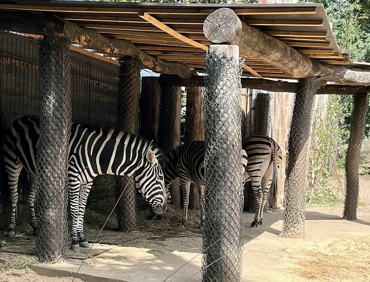 Zoo Besuch der Bewohner